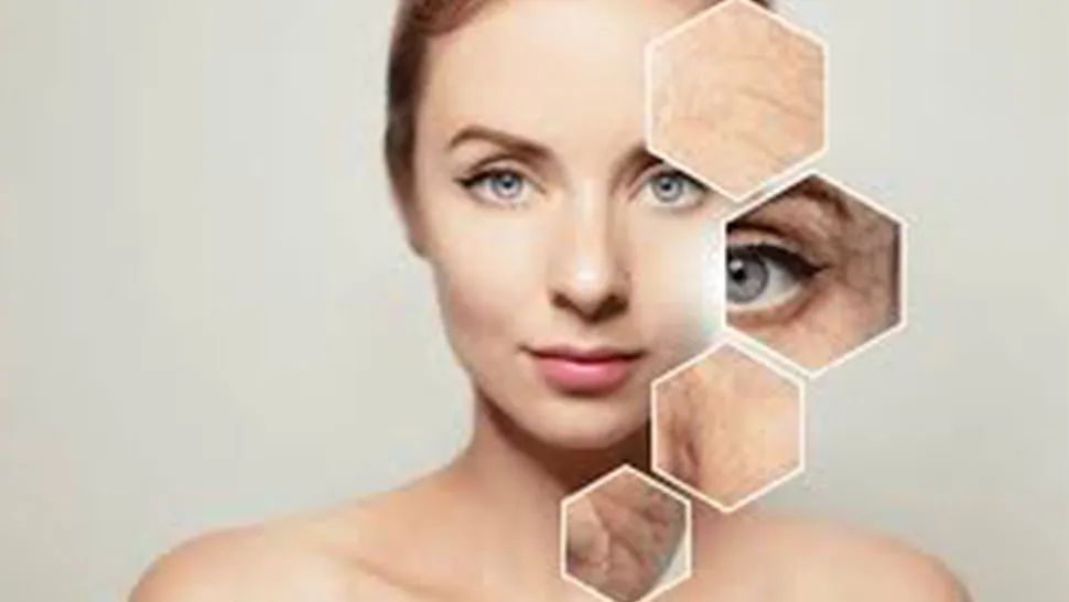 Skin Texture