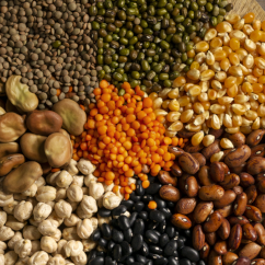 Imagen de MitoHeal™