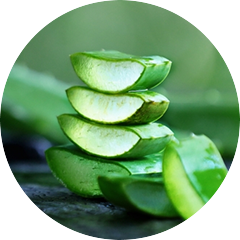 Image of Aloe Barbadensis Leaf