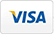 Visa Logo